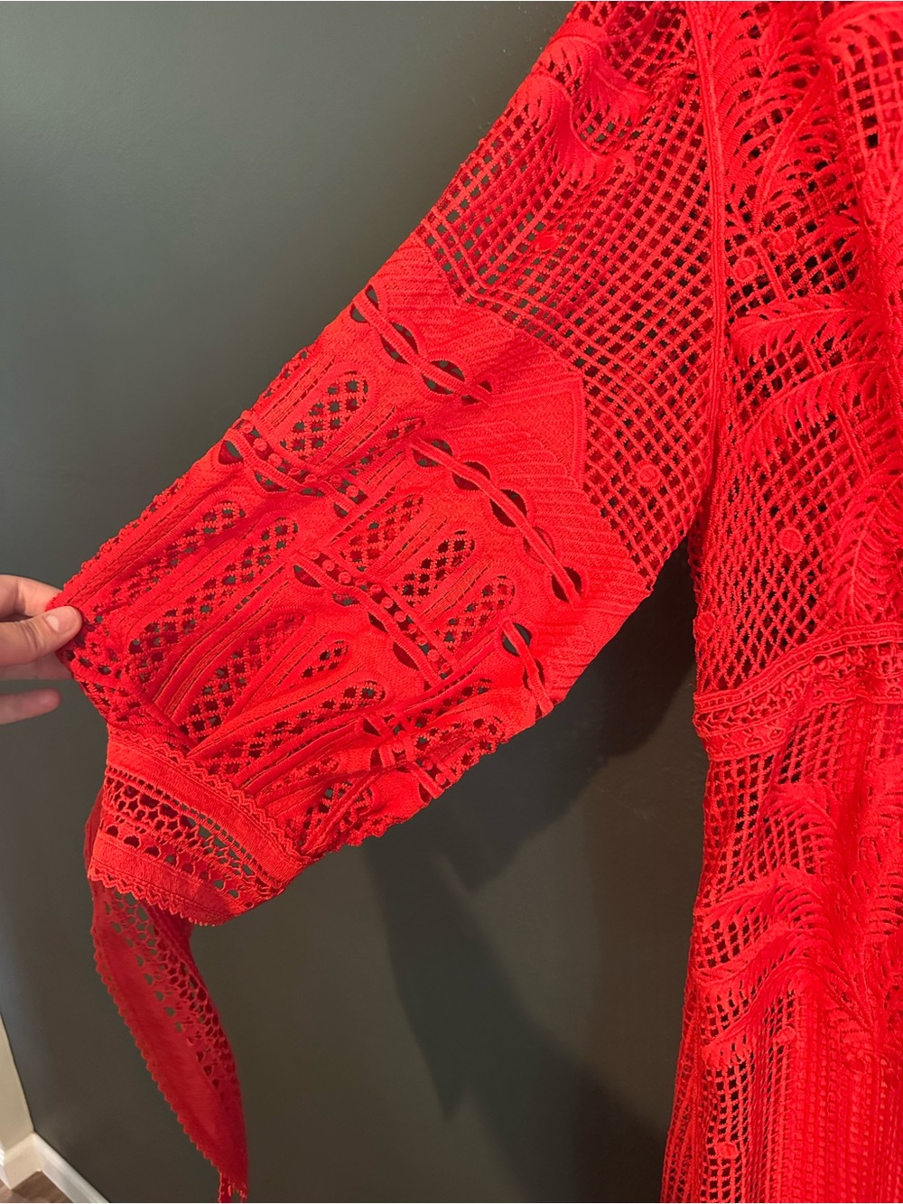 FARM Rio Red Morada Boa Guipure Maxi Dress - Picture 6 of 9